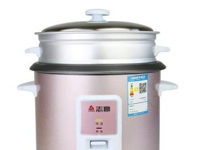 志高电饭煲定时器故障的原因及解决方法（解决志高电饭煲定时器故障的实用技巧）