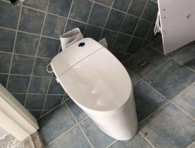 没有电怎么冲水（如何在以法恩莎马桶没电的情况下正常使用）