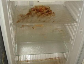 如何彻底清洁冰箱（清洁冰箱的步骤与技巧）