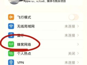 上网工具电脑打开网页的方法是什么？如何解决无法打开网页的问题？