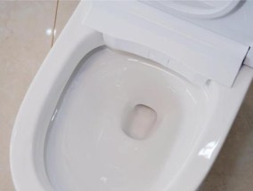 抽水马桶的工作原理及其重要性（从排泄物的顺利排除到节水环保）