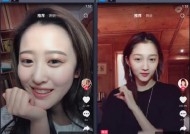 电脑版抖音无声的解决方法是什么？