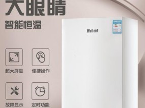 瑞能壁挂炉故障分析及解决方案（探寻瑞能壁挂炉故障原因）