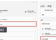 电脑显示器无声音怎么解决？设置方法是什么？
