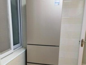 TCL冰箱冷藏室不制冷故障解决方法（TCL冰箱冷藏室不制冷原因分析与解决方案）