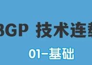 BGP服务器的工作原理是什么？工作过程中需要注意什么？