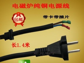 电磁炉插电源的原因及安全性解析（为什么电磁炉需要插电）