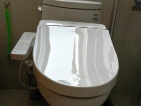 揭秘TOTO马桶边缘渗水原因及维修方法（解析TOTO马桶边缘漏水问题的根源）