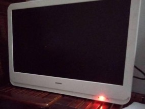 显示器黑屏故障解决方法（换了新显示器却一直黑屏）