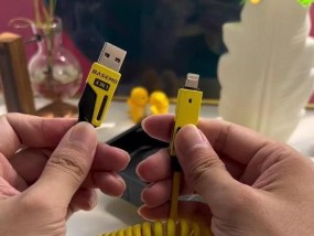 带弹簧的充电器具体名称是什么？它的工作原理如何？