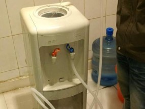 应对饮水机桶长青苔的方法（有效清除饮水机桶上的长青苔）