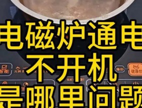 解决电磁炉灯不开机问题的方法（电磁炉灯不亮的原因和处理方法）
