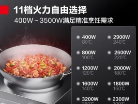 双头电磁炉故障原因及解决方法（双头电磁炉故障的常见问题及解决办法）