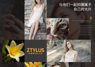 华为手机固定拍照镜头技巧有哪些？如何避免手抖影响照片？