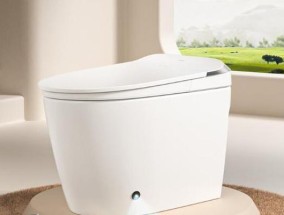 如何选择适合的马桶品牌（马桶品牌选择指南）