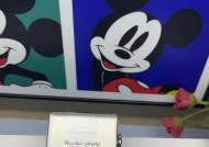 佳能相机如何刷入滤镜来编辑视频？刷滤镜过程中可能会遇到哪些问题？