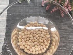 利用冰箱里的黄豆，打造健康美味（清洁）