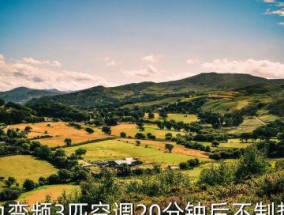 格力空调H3故障及解决方案（了解格力空调H3故障，快速解决您的空调问题）