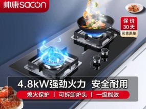 帅康集成灶面板没电怎么办（解决方案及常见故障排除）