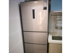 三星双开门冰箱突然不冷冻了怎么办（解决方法一网打尽）