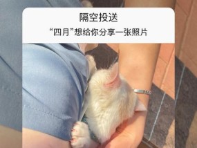 手机如何使用崽崽照片亭拍照？