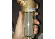 如何解决前置净水器内部生锈问题（有效清除水质污染）