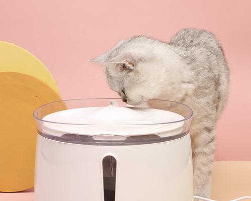 如何防止猫饮水机发霉（简单而有效的方法）  第1张