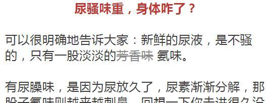 消除空调尿骚味的有效方法（让你的空调恢复清新宜人的环境氛围）  第2张