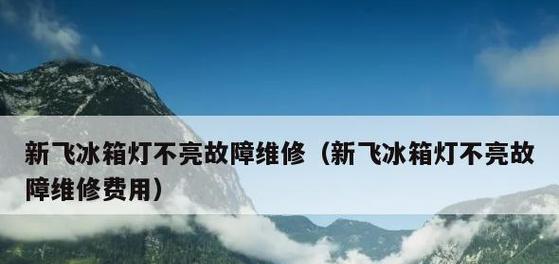冰箱灯闪问题及自修方法（让你的冰箱恢复正常的简单技巧）  第2张
