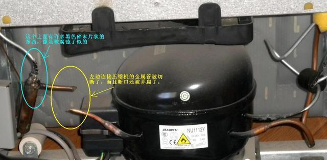 冰箱积水的处理方法（解决冰箱积水问题的实用技巧）  第3张