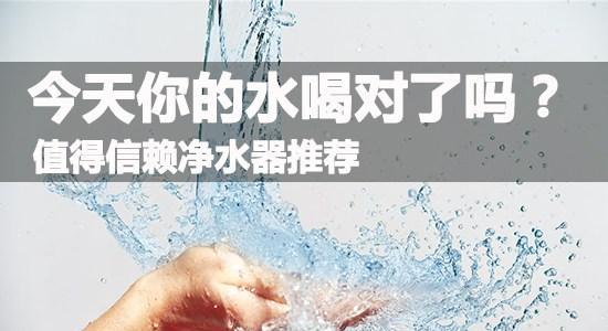 净水器水为何苦（解析净水器水出现苦味的原因）  第2张