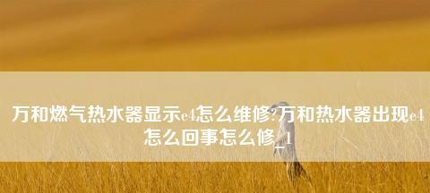 万和天然气热水器e4故障怎么维修？  第2张