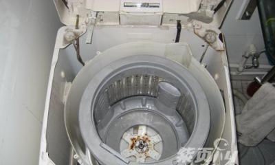 小天鹅洗衣机噪声过大？维修步骤和常见问题解答？  第2张