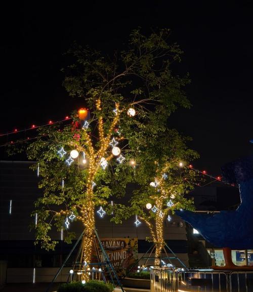 手机夜拍技巧有哪些？如何拍出清晰夜景照片？  第1张