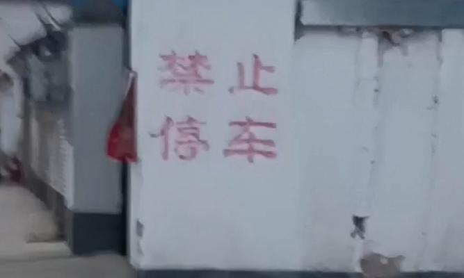 如何使用手机拍摄禁止停车的违规照片？  第2张