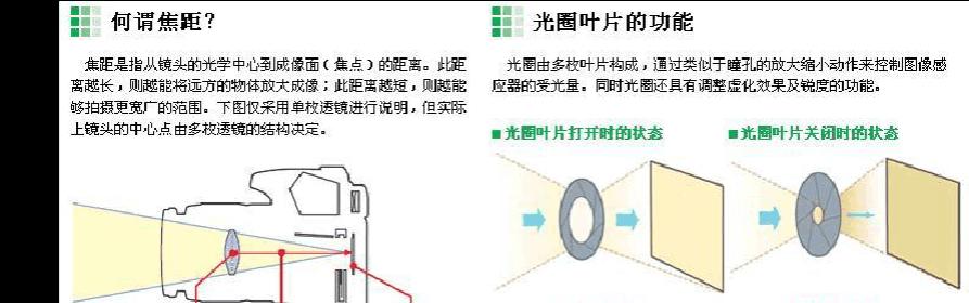 数码相机镜头无法翻转怎么办？有哪些解决方法？  第2张
